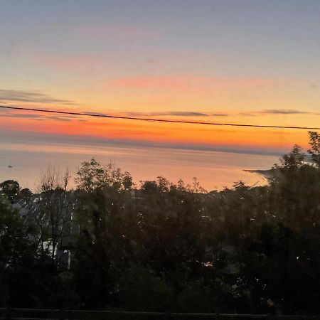Woodlands Bellevue Bed & Breakfast New Quay  Extérieur photo