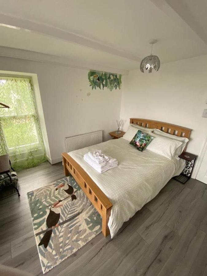 Woodlands Bellevue Bed & Breakfast New Quay  Extérieur photo