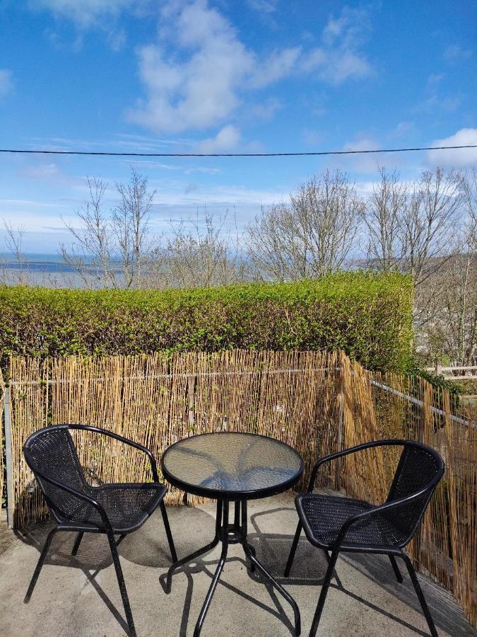 Woodlands Bellevue Bed & Breakfast New Quay  Extérieur photo